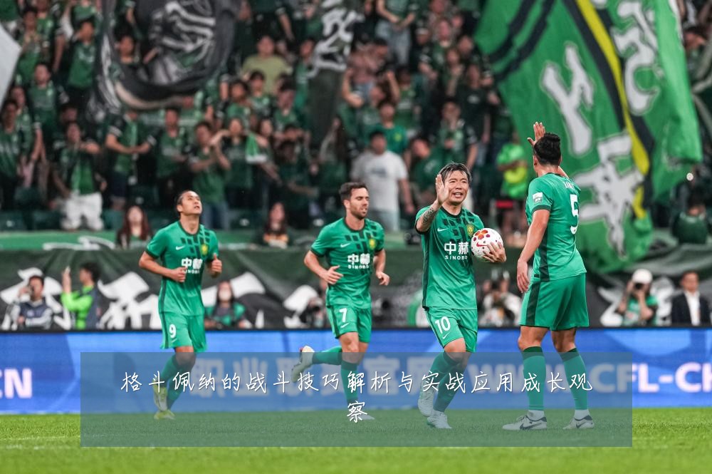 格斗佩纳的战斗技巧解析与实战应用成长观察